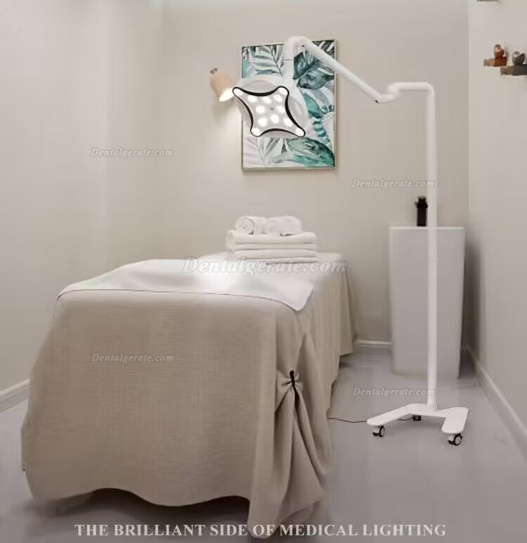 Micare JD1700L LED Minor Chirurgische Lampe Schattenlose Betriebslampe f&uuml;r Zahnkliniken